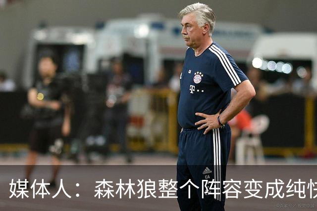 媒体人：森林狼整个阵容变成纯快节奏抢投了 球队也梭哈了