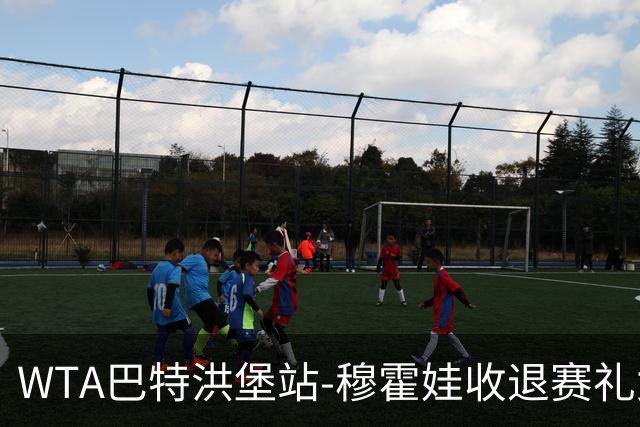 WTA巴特洪堡站-穆霍娃收退赛礼女单问鼎 夺赛季第二冠